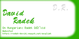 david radek business card